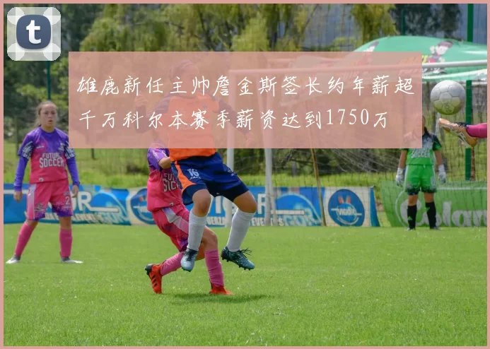 雄鹿新任主帅詹金斯签长约年薪超千万科尔本赛季薪资达到1750万