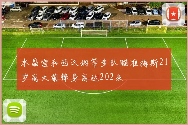 水晶宫和西汉姆等多队瞄准梅斯21岁高大前锋身高达202米
