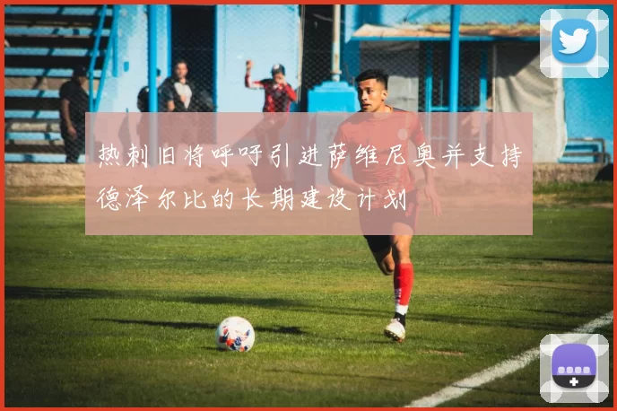 热刺旧将呼吁引进萨维尼奥并支持德泽尔比的长期建设计划